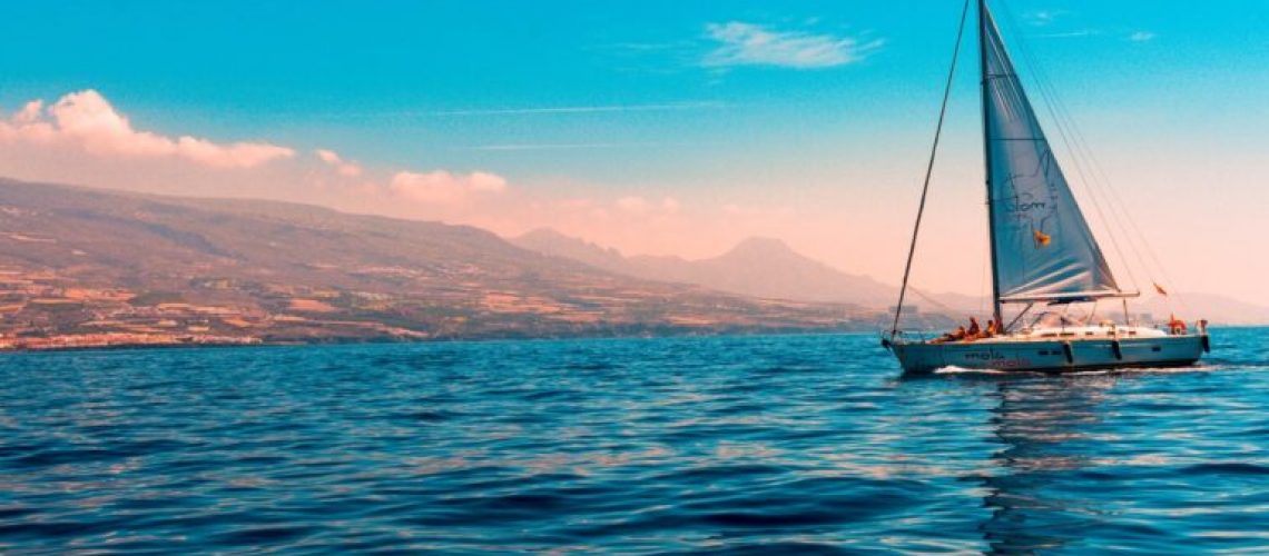 pexels-szelei-robert-1482193-768x511